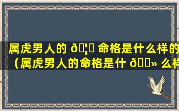 属虎男人的 🦋 命格是什么样的（属虎男人的命格是什 🌻 么样的呢）